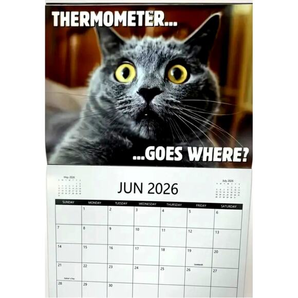 2026 Pissed Off Cats Calendar Funny - Picture 6 of 8